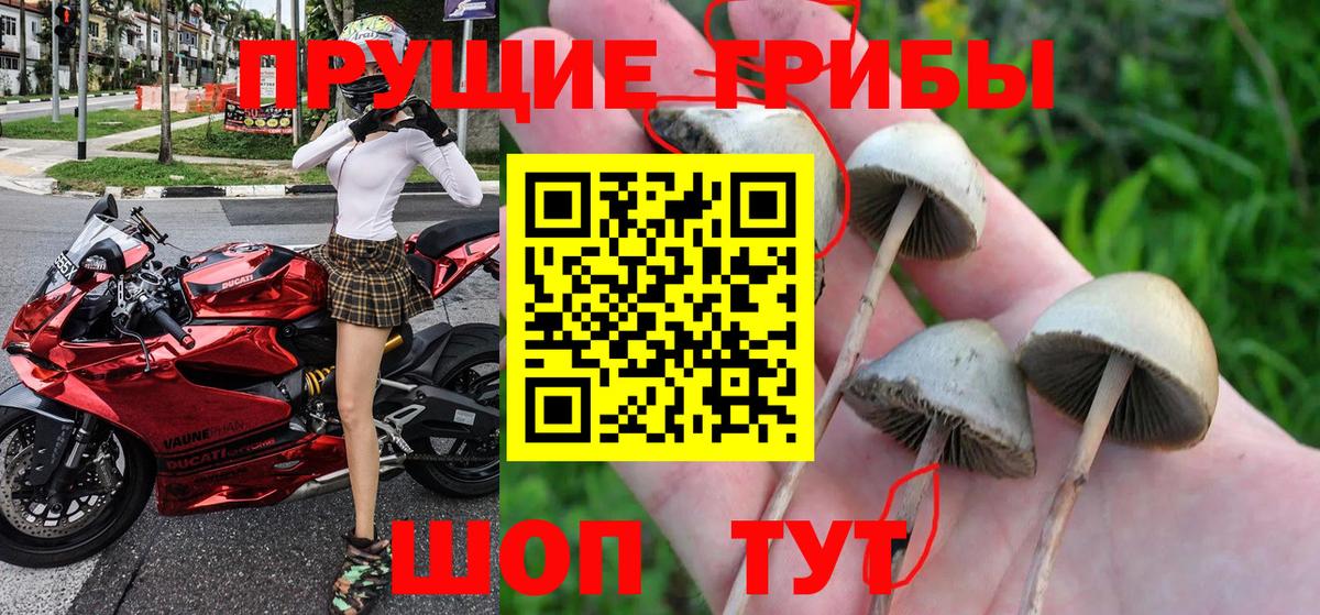 Усть-Джегута  Галлюциногенные грибы мицелий  Псилоцибиновые грибы MAGIC MUSHROOMS  Вход с VPN 