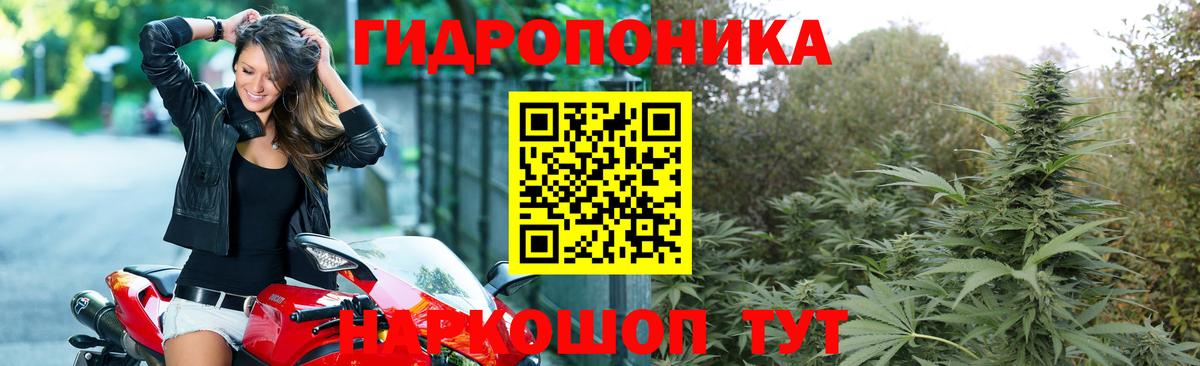 Канабис VHQ  Вход с VPN  Шишки марихуана OG Kush  Марихуана марихуана  Усть-Джегута  Марихуана тримм 
